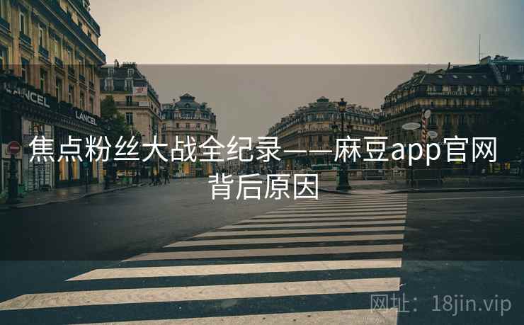 焦点粉丝大战全纪录——麻豆app官网背后原因
