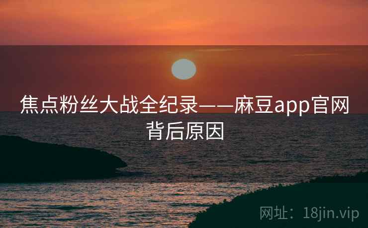 焦点粉丝大战全纪录——麻豆app官网背后原因