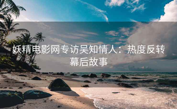 妖精电影网专访吴知情人：热度反转幕后故事